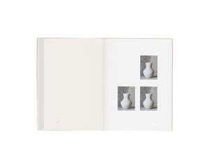 FRAMA Perception Form Book