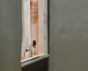 Discovery and Exploration: Natural Material Studio